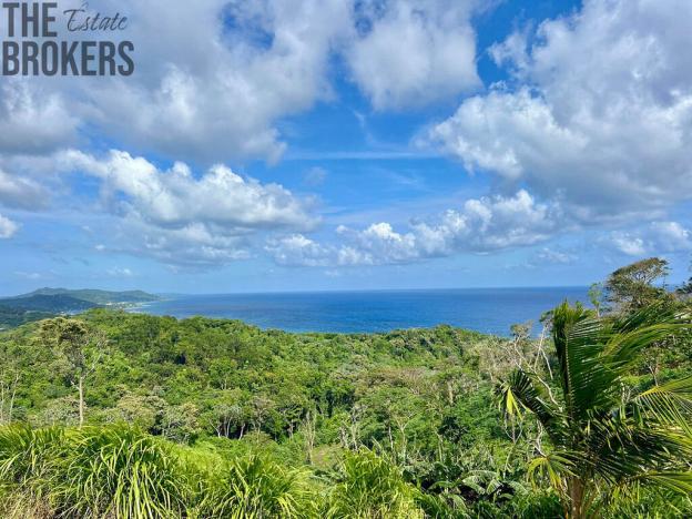 Prodej pozemku, Coxen Hole, Roatán, Honduras, 847 m2