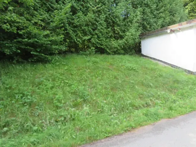 Dražba zahrady, Ústí nad Orlicí, 1390 m2