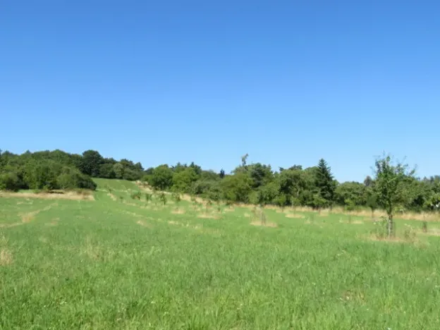 Dražba pozemku, Nové Strašecí, 5768 m2