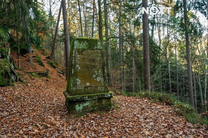 Prodej pozemku pro bydlení, Malá Skála, 3487 m2