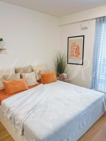 Pronájem bytu 1+kk, Brno - Zábrdovice, Bratislavská, 30 m2