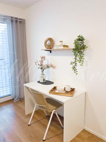 Pronájem bytu 1+kk, Brno - Zábrdovice, Bratislavská, 30 m2