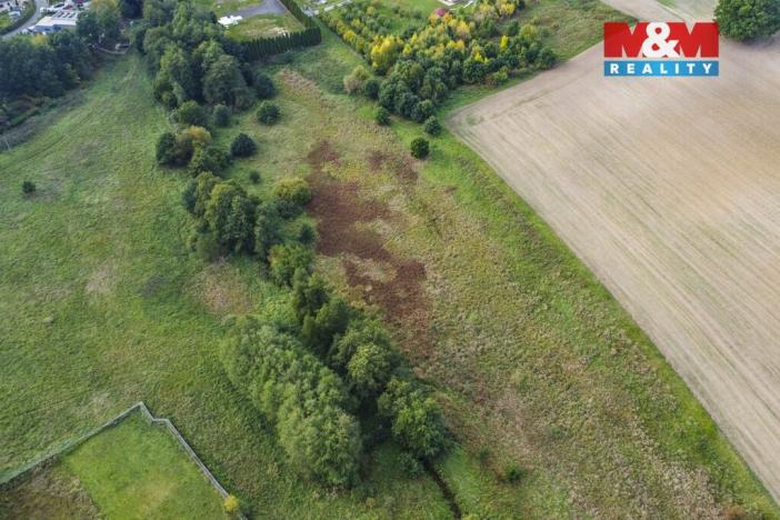 Prodej louky, Františkovy Lázně - Žírovice, 8900 m2