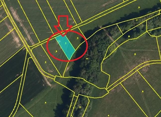 Prodej lesa, Lhota, 6286 m2