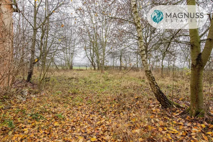 Prodej pozemku, Libina, 7132 m2