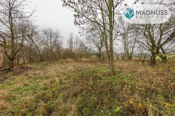 Prodej pozemku, Libina, 7132 m2