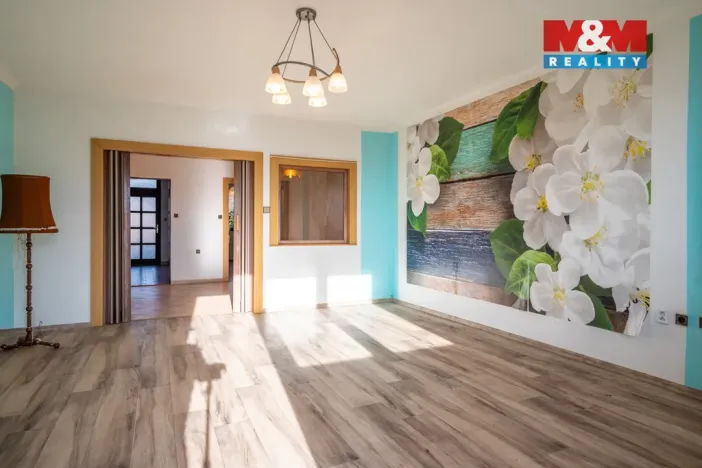 Prodej rodinného domu, Strakonice - Přední Ptákovice, Ptákovická, 262 m2