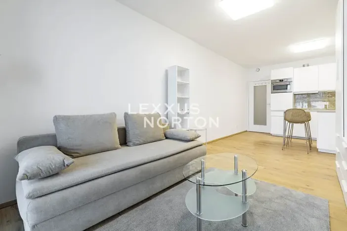 Pronájem bytu 1+kk, Praha - Smíchov, Holečkova, 34 m2