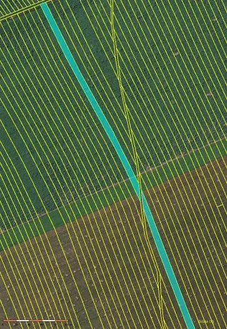 Prodej pole, Dolní Bojanovice, 8368 m2