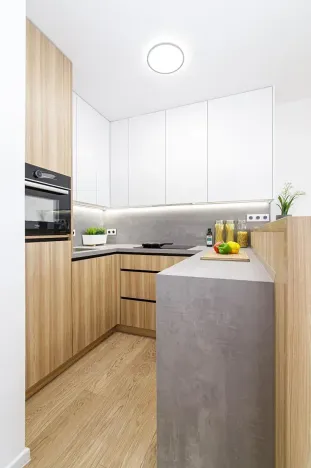 Pronájem bytu 1+kk, Ostrava, Gen. Janouška, 27 m2