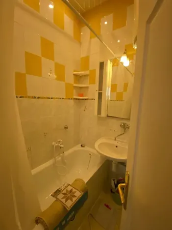 Pronájem bytu 2+1, České Budějovice, Puklicova, 53 m2