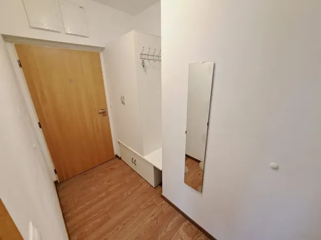 Pronájem bytu 1+kk, Brno, Nad Přehradou, 24 m2