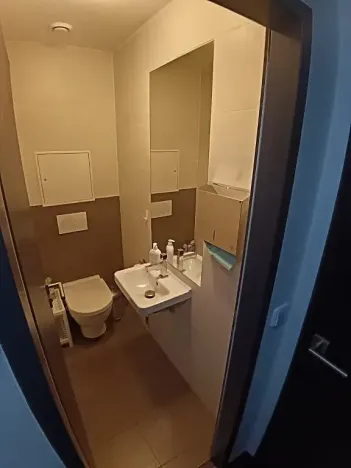 Pronájem bytu 1+kk, Brno, Hlinky, 44 m2