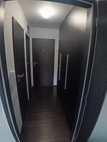 Pronájem bytu 1+kk, Brno, Hlinky, 44 m2