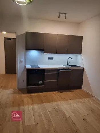 Pronájem bytu 1+kk, Brno, Bratislavská, 32 m2