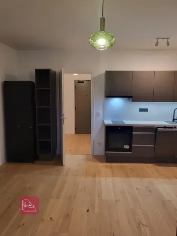 Pronájem bytu 1+kk, Brno, Bratislavská, 32 m2
