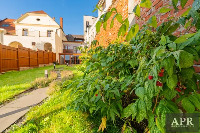 Prodej obchodního prostoru, Uherský Brod, Masarykovo nám., 275 m2