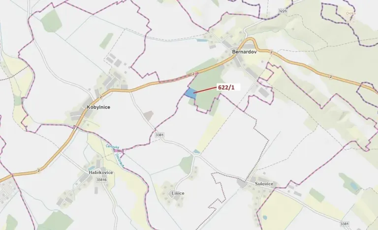 Dražba lesa, Bernardov, 12017 m2