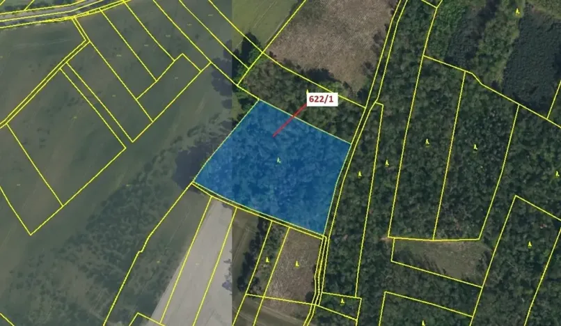 Dražba lesa, Bernardov, 12017 m2