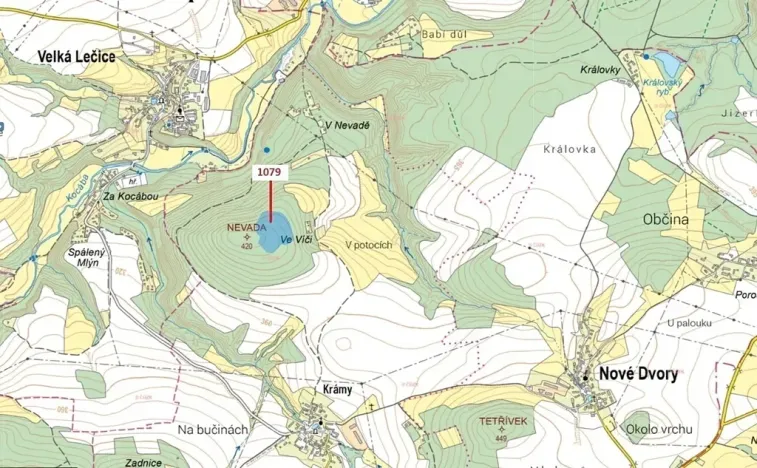 Dražba lesa, Nové Dvory, 32925 m2