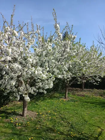 Prodej vily, Svárov, Ptická, 326 m2