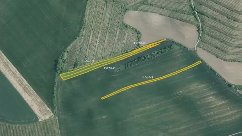 Prodej pole, Vranovice, 20759 m2