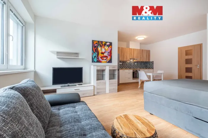 Pronájem bytu 1+kk, Plzeň - Doubravka, Dílenská, 45 m2