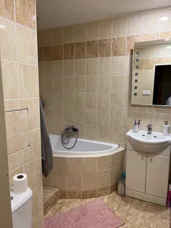 Pronájem bytu 2+1, Chomutov, Meisnerova, 61 m2