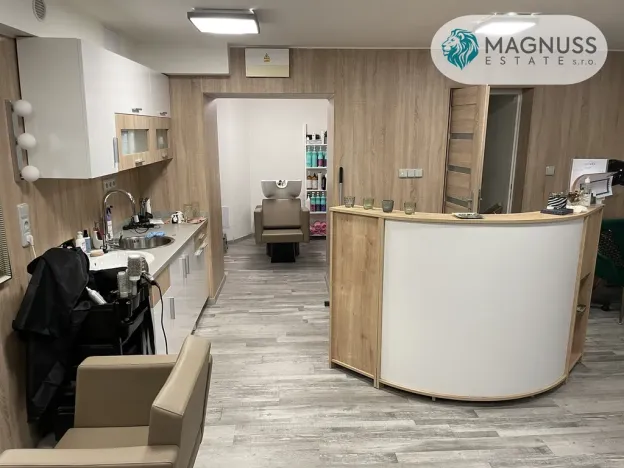 Pronájem ostatní, Olomouc - Nová Ulice, tř. Svornosti