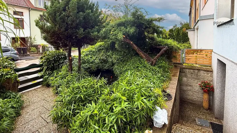 Pronájem bytu 1+kk, Brno, Teslova, 20 m2