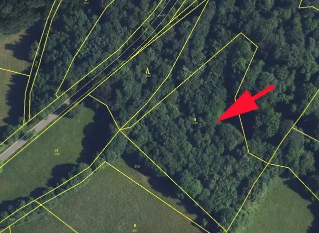 Prodej lesa, Cotkytle, 7064 m2