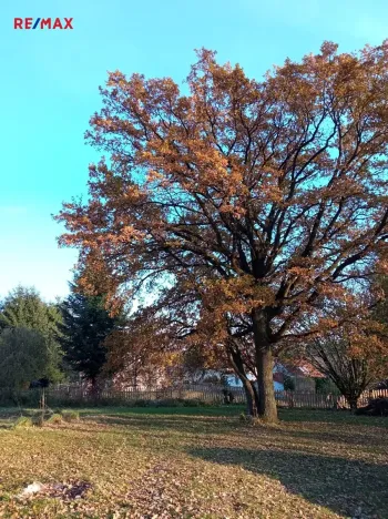 Prodej pozemku pro bydlení, Blažejovice, 3615 m2