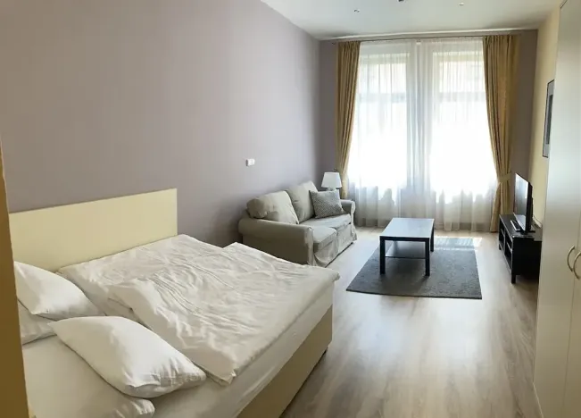 Pronájem bytu 1+1, Praha - Vinohrady, Máchova, 40 m2