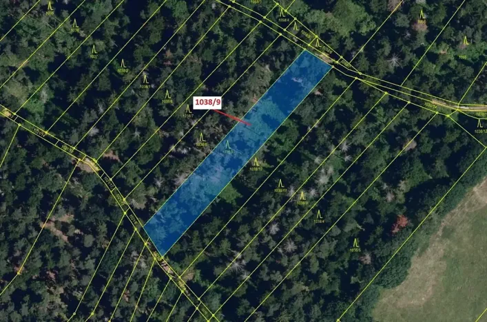 Dražba lesa, Veverské Knínice, 2213 m2