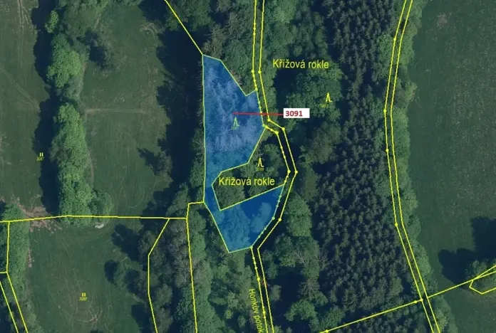 Dražba lesa, Benešov u Semil, 1964 m2