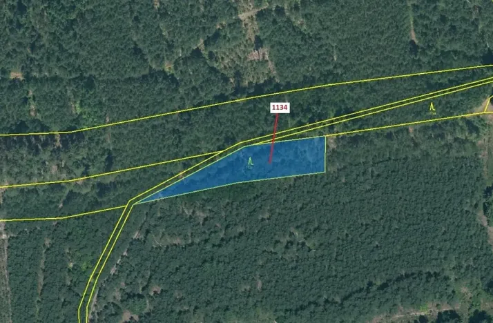 Dražba lesa, Jesenice, 1636 m2