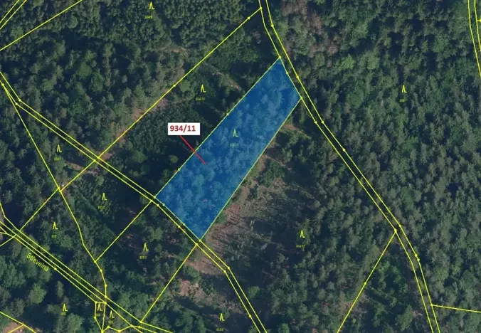 Dražba lesa, Jílové u Držkova, 3439 m2