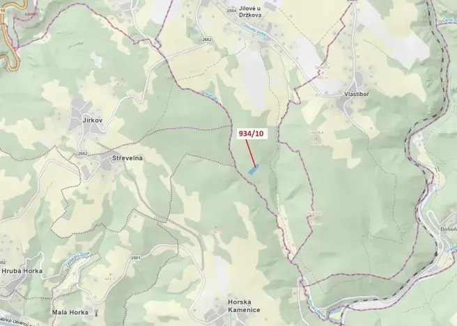 Dražba lesa, Jílové u Držkova, 4305 m2