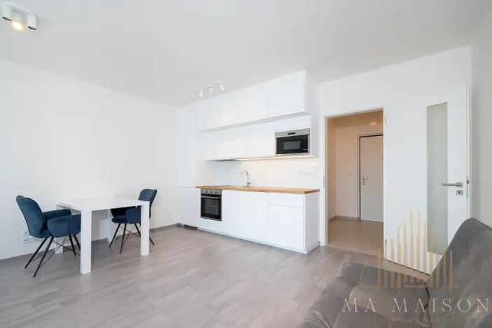 Pronájem bytu 1+kk, Praha - Žižkov, Olgy Havlové, 38 m2