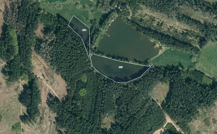 Prodej louky, Kamberk, 46047 m2