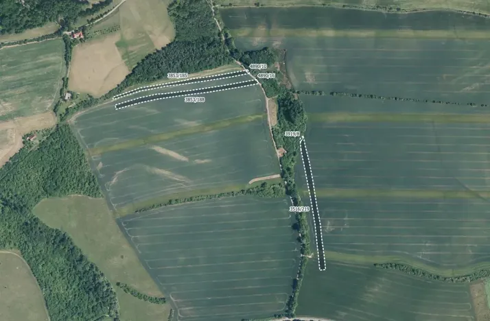 Prodej pole, Boršice, 7194 m2