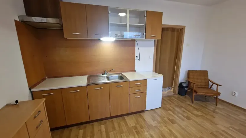 Prodej bytu 1+kk, Štěnovice, Čižická, 27 m2