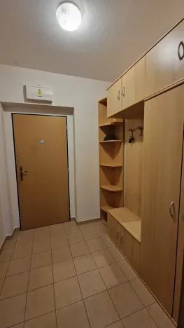 Prodej bytu 1+kk, Štěnovice, Čižická, 27 m2