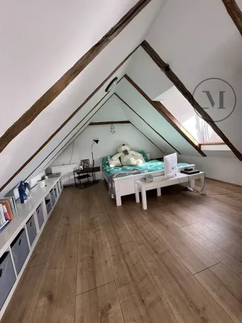 Prodej rodinného domu, Nová Ves, 480 m2