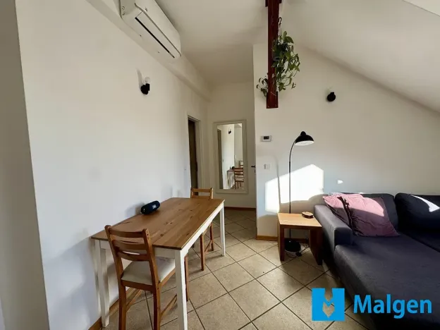 Pronájem bytu 2+kk, Praha - Bubeneč, U akademie, 45 m2