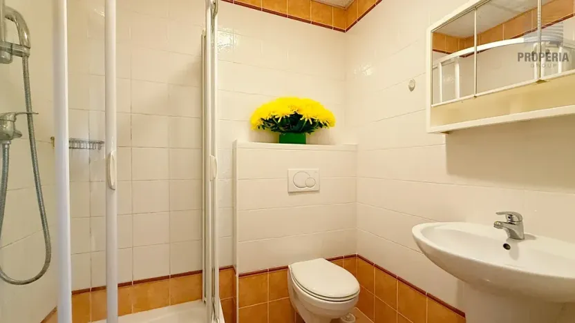 Pronájem bytu 1+kk, Brno, Svatoplukova, 21 m2