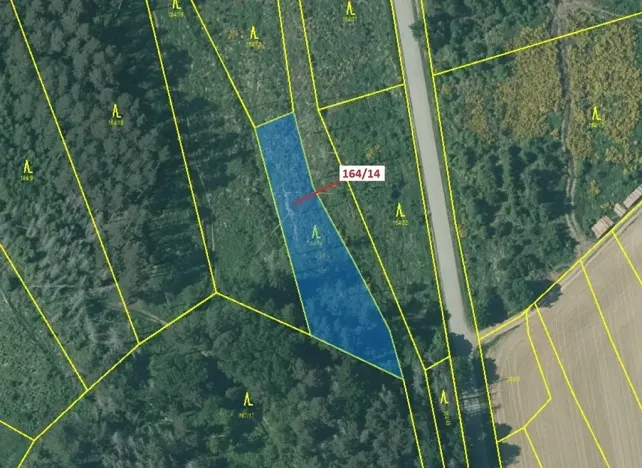 Dražba lesa, Budíškovice, 1580 m2