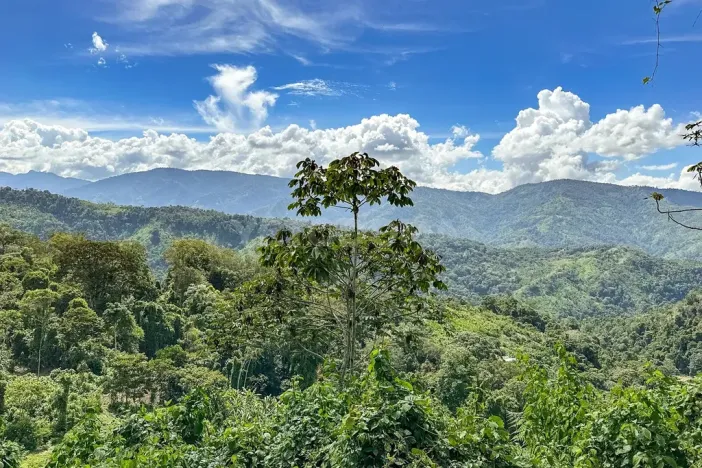 Prodej rodinného domu, Puerto Carrillo, Kostarika, 210 m2