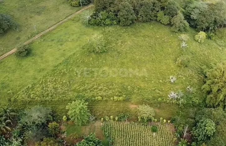 Prodej pozemku pro bydlení, Puerto Jiménez, Kostarika, Calle Los Pollos, 8924 m2