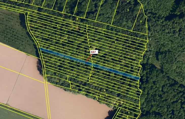 Dražba lesa, Hradčany-Kobeřice, 1989 m2